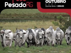 Está chegando o Leilão Peso Pesado RG 