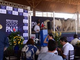 Com número recorde de lotes, Leilão PNAT acontece nesta sexta (26)