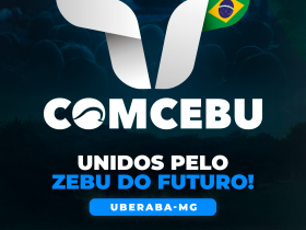 Zebu Connect Day abre programação do COMCEBU 2024