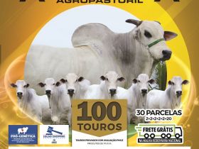 PMGZ e Pró-Genética chancelam ?Leilão Virtual Touros Araguarina Agropastoril?