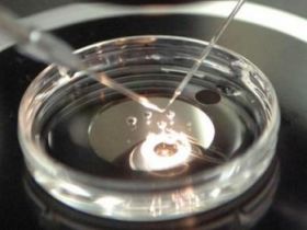 ABCZ comemora a firma do novo protocolo para a exportação de sêmen para a Índia