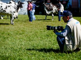 “É uma grande responsabilidade e um enorme prazer”, diz fotógrafo oficial da 88ª ExpoZebu