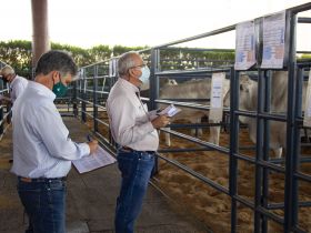 ExpoGenética 2021: Votação de touros do PNAT 2021 marca programação desta quarta (18)