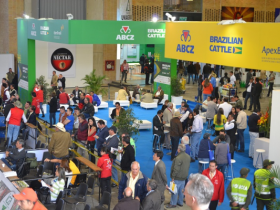 Projeto de exportação Brazilian Cattle chega aos EUA e comemora crescimento nos últimos três anos