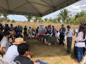 Integra Zebu: Eventos técnicos podem receber chancela do programa