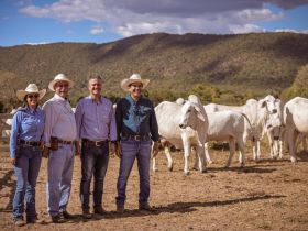 PMGZ realiza visita técnica em propriedade no norte de Goiás