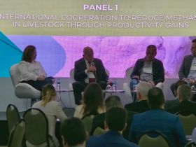 Em Brasília, ABCZ participa de workshop sobre agropecuária tropical promovido pelo Mapa em parceria com instituições internacionais ligadas ao clima