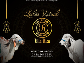 ?Leilão virtual Vila Rica Agropecuária? será realizado na próxima sexta (27)
