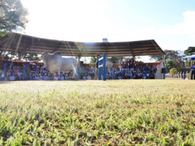  Desfile mostra tendências genéticas para 2017/18