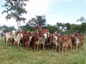 Definidos vencedores do Concurso Cultural de Fotografia ABCZ