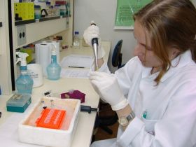 Seleção Genômica é destaque no 9º Congresso Brasileiro das Raças Zebuínas 