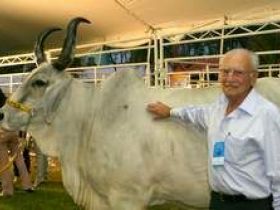 Falece criador de Guzerá José Transfiguração