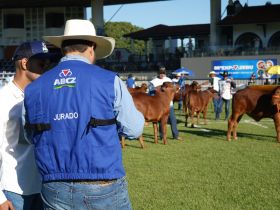 ABCZ divulga os jurados titulares e assistentes que irão avaliar os animais participantes da 90ª ExpoZebu