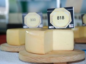 ABCZ comemora classificação dos Modos de Fazer o Queijo Minas Artesanal como patrimônio da Unesco