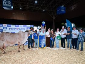 3ª ExpoLeite tem recorde mundial e define Grandes Campeãs do Concurso Leiteiro