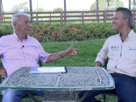 ABCZ acompanha desenvolvimento de pesquisa com novilhas superprecoces no Nelore Jandaia 