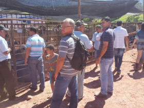 Pró-Genética fez sucesso em duas feiras mineiras 