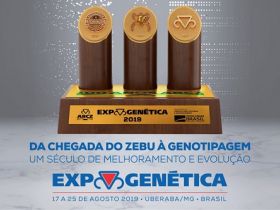 2º Sumário PMGZ/Geneplus será lançado durante a ExpoGenética com novos dados genômicos