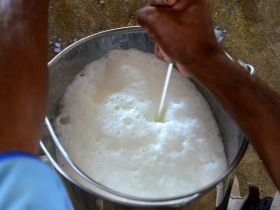 PMGZ disponibiliza Sistema de Avaliação Genética Leite 2015