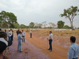 ABCZ e Fazenda Alvorada realizam 1º Dia de Campo com foco no PMGZ Corte e PMGZ Comercial