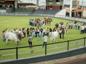 Alunos do IFTM participam de minicurso na ABCZ