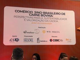 ABCZ participa de seminário Comércio Sino-Brasileiro de Carne Bovina, em Brasília (DF)