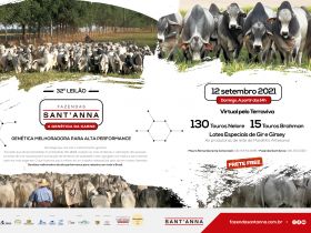 Fazenda Sant’anna promove mais uma edição de seu tradicional leilão