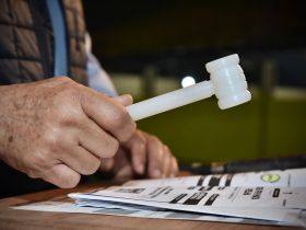 17ª ExpoGenética: leilões superam marca de R$ 75 milhões 