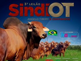 ?3º Leilão Sindi OT Angelo Tibery e Convidados? será realizado no próximo sábado (25)