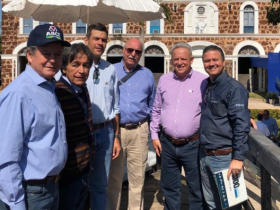 Equipe ABCZ prestigia o leilão do Nelore Grendene em Cáceres (MT)