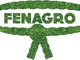 Fenagro 2014 terá curso sobre escolha de zebuínos - Inscrições abertas