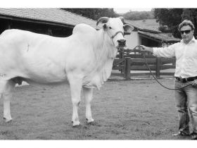 ABCZ lamenta falecimento de Luiz Roberto Menezes Soares