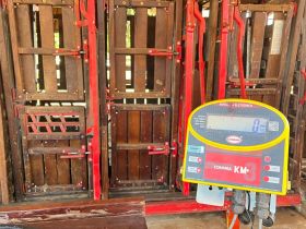 Confira o calendário de pesagem da 4ª Prova de Ganho de Peso, realizada em Silvanópolis (TO)