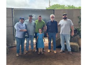 2ª Feira de Touros Nelore NGJ conta com participação da ABCZ