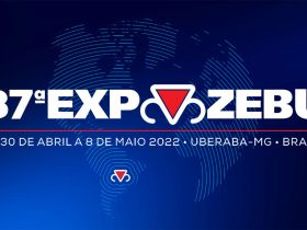Com aprovação das promocionais, ABCZ anuncia mudanças nos julgamentos da ExpoZebu