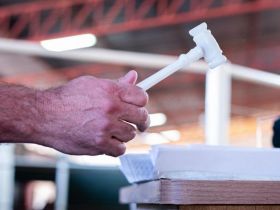 O leite tá on: leilões da 2ª ExpoLeite já movimentaram mais de R$ 2,4 milhões