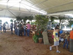 Fazendinha atrai atenção do público da ExpoZebu no estande da FAZU