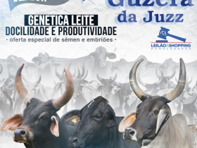 ?Leilão Virtual Guzerá da JUZZ? será realizado no próximo dia 12