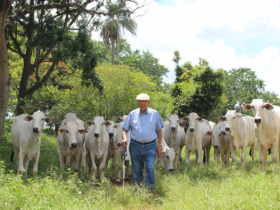 Associados da ABCZ e amigos do zebu são homenageados pela ABC