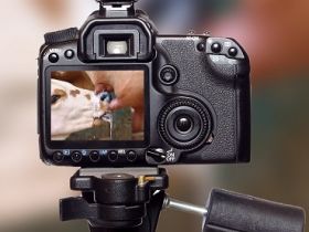 Inscrições abertas para Prêmio de Reportagem e Concurso de Fotografia