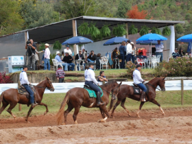 ExpoZebu 2017 sediará Copa de Marcha Mangalarga 
