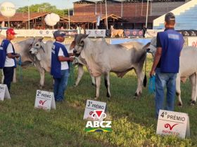 ABCZ amplia apoio a exposições regionais com atuação do Colégio de Jurados das Raças Zebuínas
