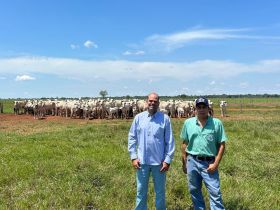 PMGZ Comercial: transformando rebanhos e agregando valor para os criadores