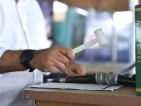 Leilões da 16ª ExpoGenética já somam mais de R$ 38 milhões