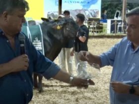 ABCZ sorteia prêmio em dinheiro entre compradores das Feiras Pró-Genética e Pró-Fêmeas – Edição ExpoLeite