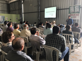 Dia de Campo apresenta touros do 2º Leilão Excelência do Nelore 