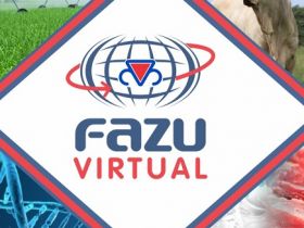 Fazu Virtual: faculdade lança Educação a Distância