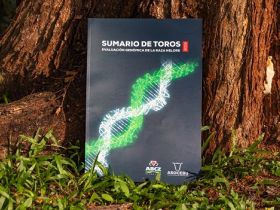 Primeiro Sumário de Touros do ?PMGZ Internacional? é lançado na Bolívia. 