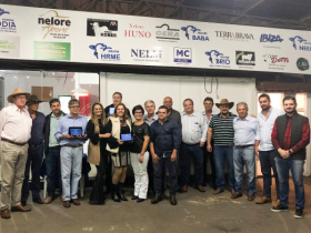 ?3ª PGP a pasto Amigos do Nelore? termina registrando bons resultados