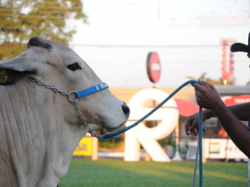 SRP abre a ExpoLondrina 2016